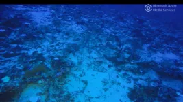 Scientists discover deepest known evidence of coral reef bleaching 3