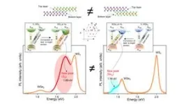 Scientists discover ‘flipping’ layers in heterostructures to cause changes in their properties 2