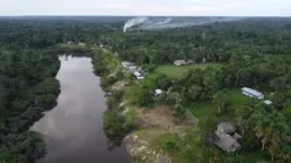 Scientists discover unique microbes in Amazonian peatlands that could influence climate change 2