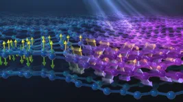 Scientists discover unusual ultrafast motion in layered magnetic materials