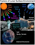 Scientists discussed the key questions of solar wind–moon interaction