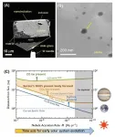 Scientists find CO2-rich liquid water in ancient meteorite