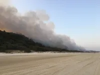 Scientists find fire records inside sand dunes