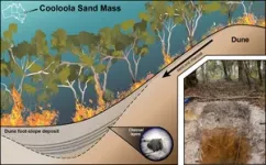 Scientists find fire records inside sand dunes 2