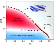 Scientists find first evidence for new superconducting state in Ising superconductor 3