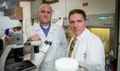 Scientists find potential drug targets in deadly pediatric brain tumors 3