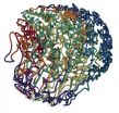 Scientists generate 3D structure for the malaria parasite genome