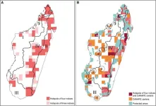 Scientists identify biodiversity conservation gaps in Madagascar