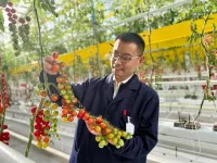 Scientists innovate breeding strategies to create climate-smart crops