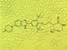 Scientists invent advanced approach to identify new drug candidates from genome sequence