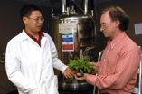 Scientists learn how horseweed shrugs off herbicide