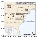 Scientists look to soils to learn how forests affect air quality, climate change