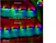 Scientists observe a new type of topological defect in chiral magnets for the first time