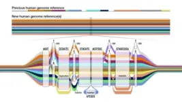 Scientists release a new human “pangenome” reference 2