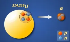 Scientists report remarkable enhancement of α-particle clustering in uranium isotopes