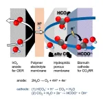 Scientists reveal new design for cells turning carbon dioxide into a green fuel