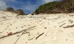 Scientists say plastic on beaches can now be seen from space 2