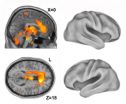 Scientists solving the mystery of human consciousness