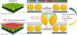 Scientists suggest AgNP/MoS2 nano-pocket for surface-enhanced raman spectroscopy scattering detection 2