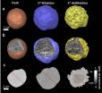 Scientists track 3-D nanoscale changes in rechargeable battery material during operation 2