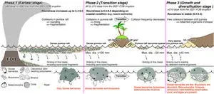 Scientists track evolution of pumice rafts after 2021 underwater eruption in Japan 2