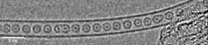 Scientists trap krypton atoms to form one-dimensional gas