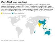 Scientists uncover structure of critical component in deadly Nipah virus