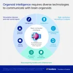 Scientists unveil plan to create biocomputers powered by human brain cells 2