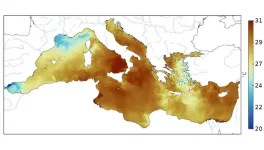 Scientists warn about decoupling warming trend when detecting marine heat waves