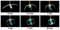 Scotch tape finds new use as grasping smart material