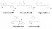 Screening technique uncovers 5 new plant activator compounds