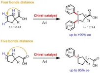 Scripps Research chemists develop new method for making gamma chiral centers on simple carboxylic acids