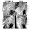 SDO and STEREO spot something new on the sun