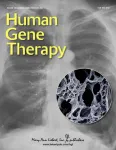 Second generation gene therapy for alpha 1-antitrypsin deficiency