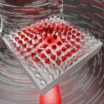 Second order optical merons, or light pretending to be a ferromagnet