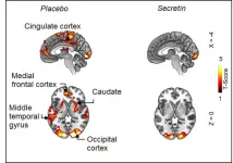 Secretin hormone induces satiation by activating brown fat