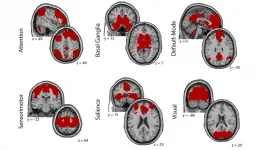 Secrets of traumatic stress hidden in the brain are exposed