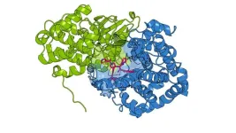 Seeing double: Designing drugs that target “twin” cancer proteins