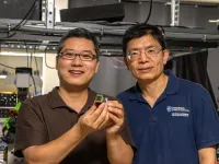 Seeing like a butterfly: Optical invention enhances camera capabilities