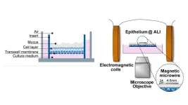 Seeking medical insights in the physics of mucus