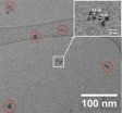 Self-assembly of gold nanoparticles into small clusters