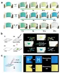 Self-powered flexible multicolor electrochromic devices for information displays