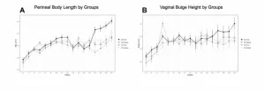 Senolytics dasatinib and quercetin for prevention of pelvic organ prolapse in mice