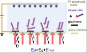 Sensitive and specific: A new way of probing electrolyte/electrode interfaces 2