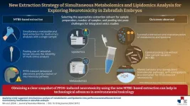 SeoulTech researchers propose a novel method to shed light on PFOS-induced neurotoxicity