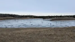 Shallow soda lakes show promise as cradles of life on Earth