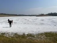 Shallow soda lakes show promise as cradles of life on Earth 2