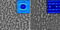 Shearing triggers odd behavior in microscopic particles