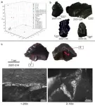 Shiyu discovery reveals East Asia’s advanced material culture by 45,000 years ago 3