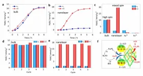 SHMFF users proposed new method for efficient biomimetic catalysts